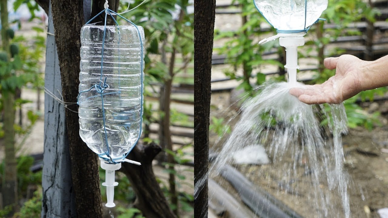 Кормушка для птиц из пластиковой бутылки: простые и необычные к�онструкции - 1igolka.com